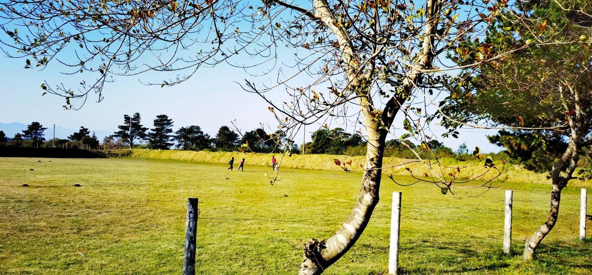 Moonsong Accommodation & Camping Plettenberg Bay Extérieur photo