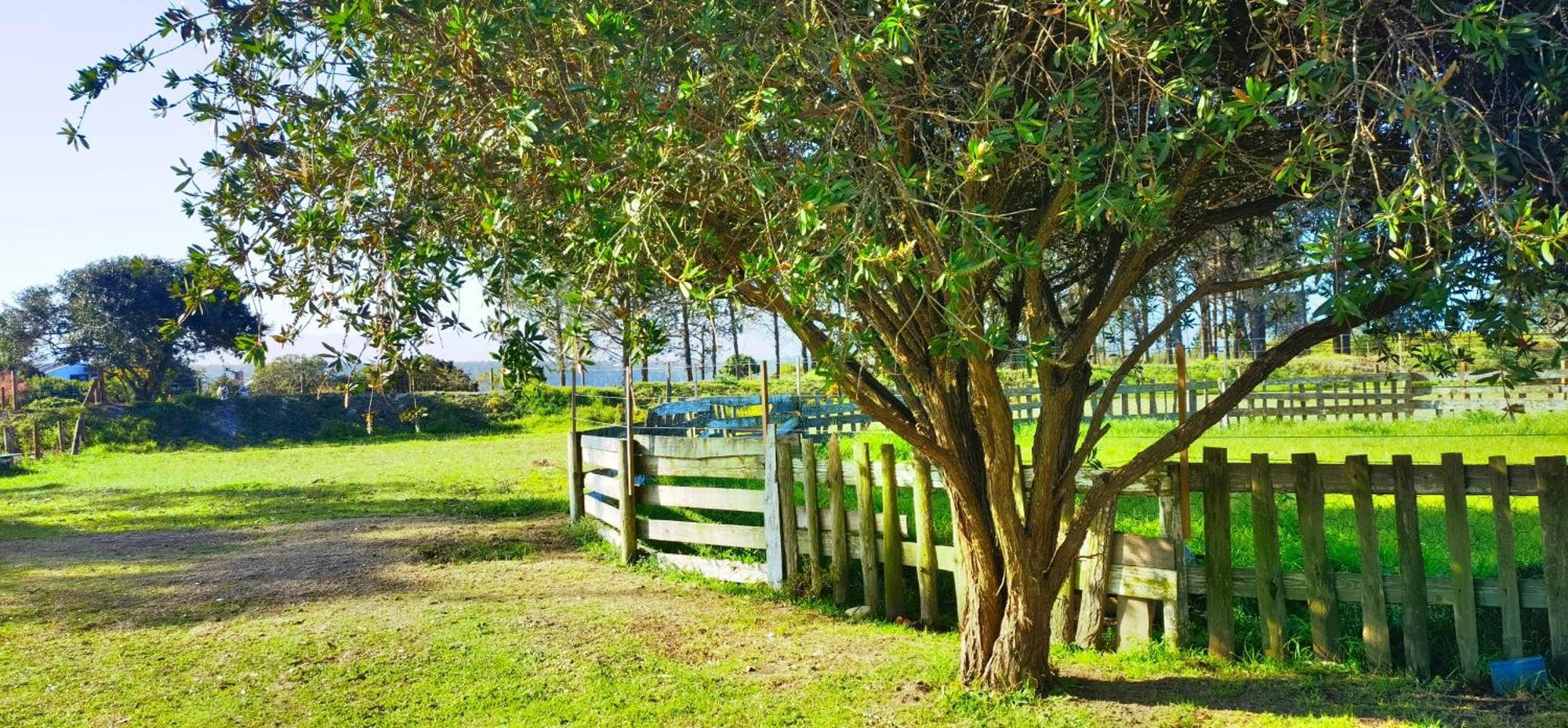 Moonsong Accommodation & Camping Plettenberg Bay Extérieur photo