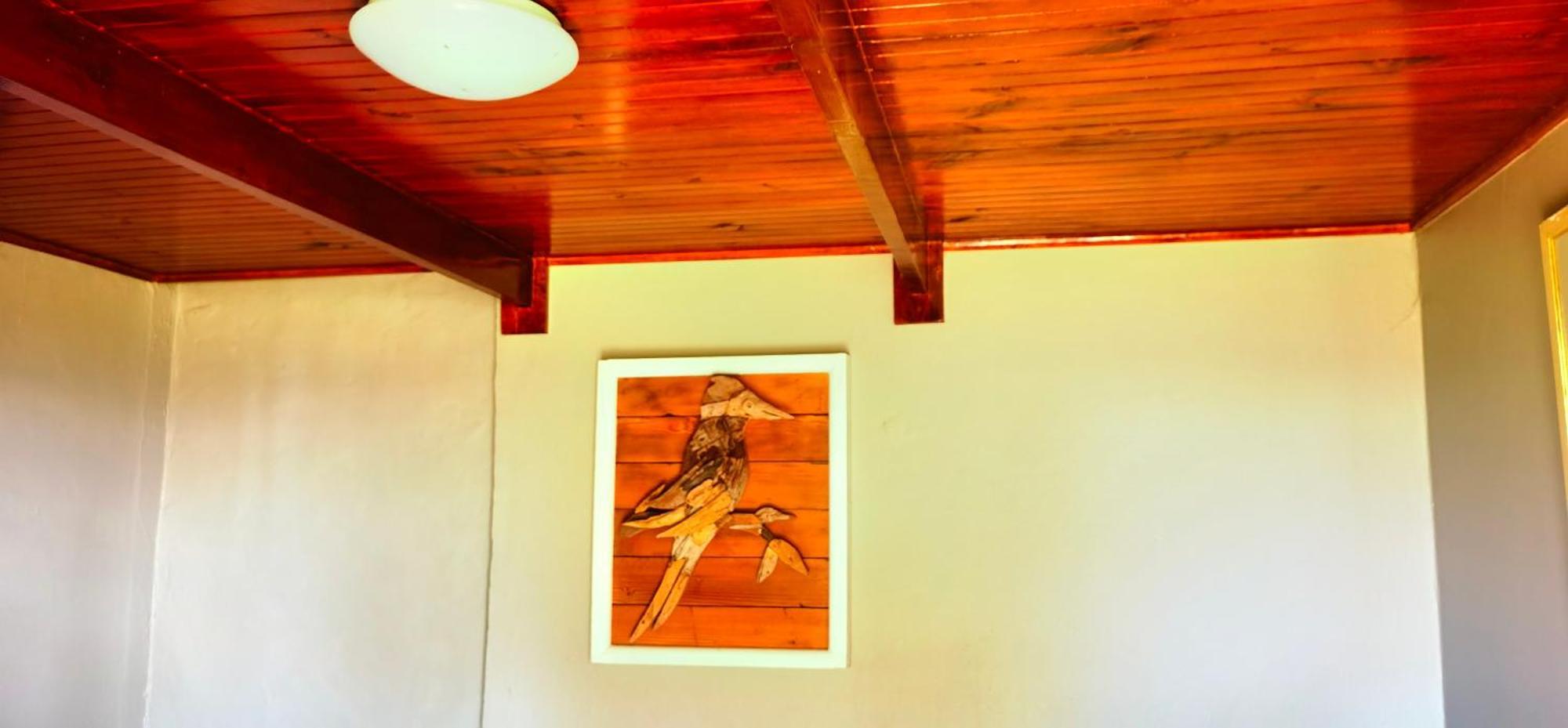 Moonsong Accommodation & Camping Plettenberg Bay Extérieur photo