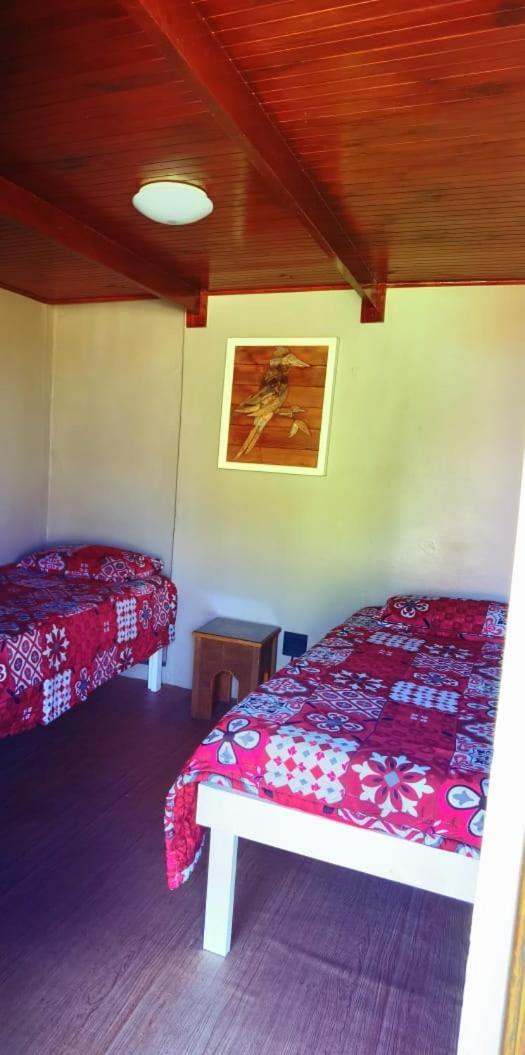 Moonsong Accommodation & Camping Plettenberg Bay Extérieur photo